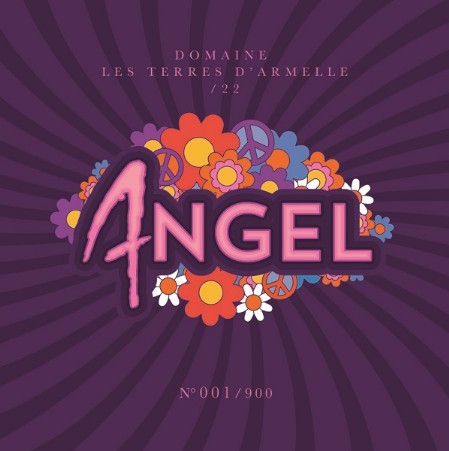 Domaine les Terres d’Armelle, vins bio Coteaux de Béziers à Maraussan, hérault Domaine les Terres d’Armelle